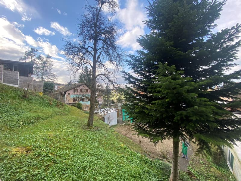 Charmantes Familienheim mit üppigem Garten (15)