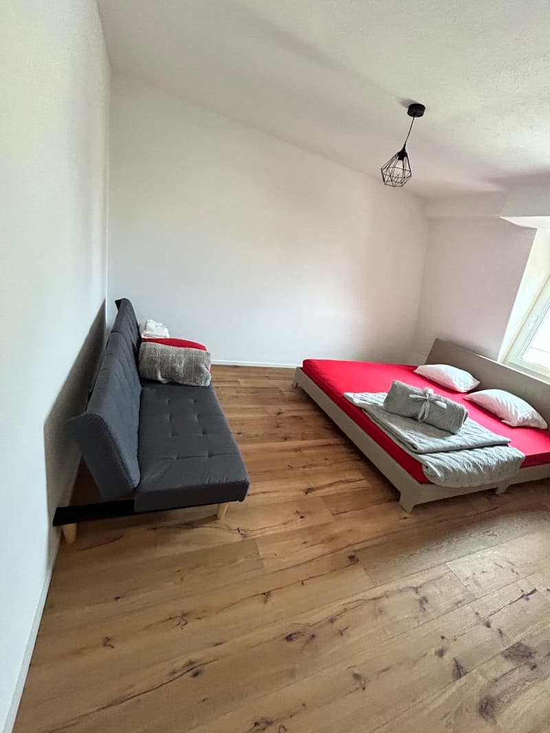 Moderen 3.5 Zimmer- Wohnung (2)