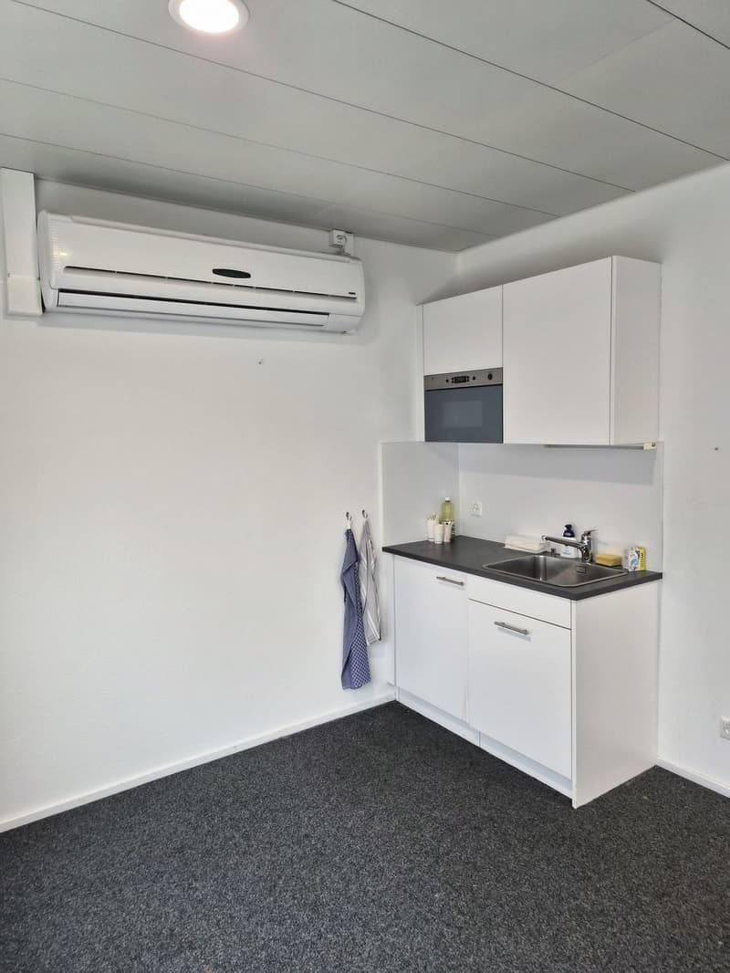 Extended area of 112m2 in the heart of Kloten! (3)