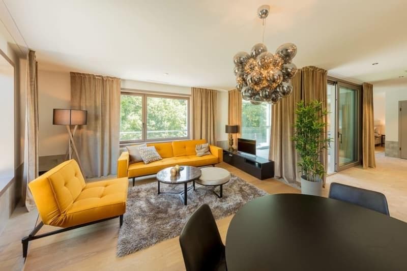 Furnished Apartment (2.5 room) with Pool, Gym, usw. (2)