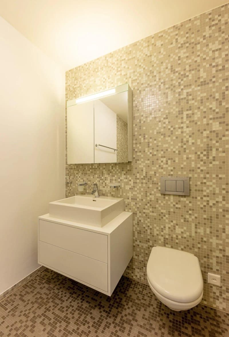 Appartement moderne de 3,5 pièces au rez-de-chaussée (5)