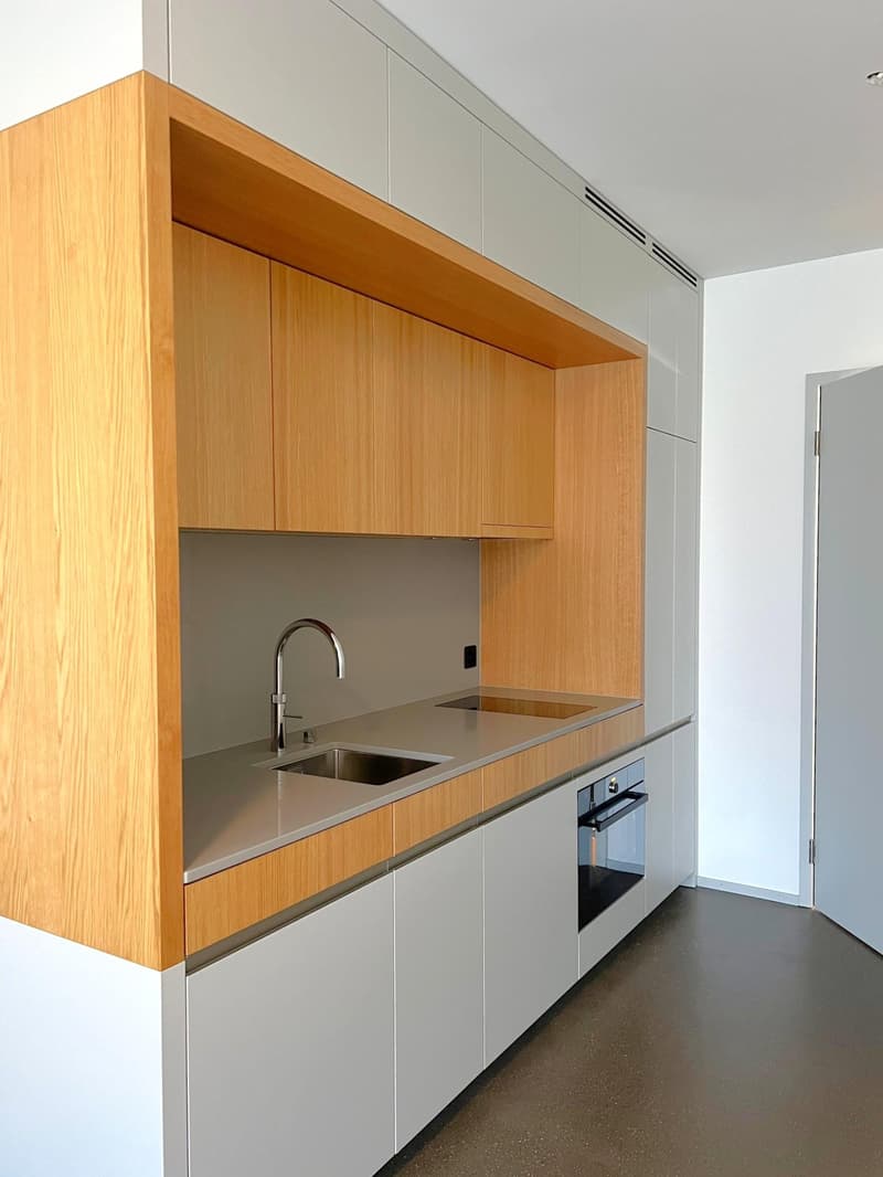 Compact 1.0 room apartment on the 1st floor - without balcony with community room (2)
