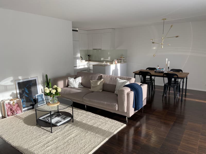 Modern 2.5-room apartment with spacious balcony (2)