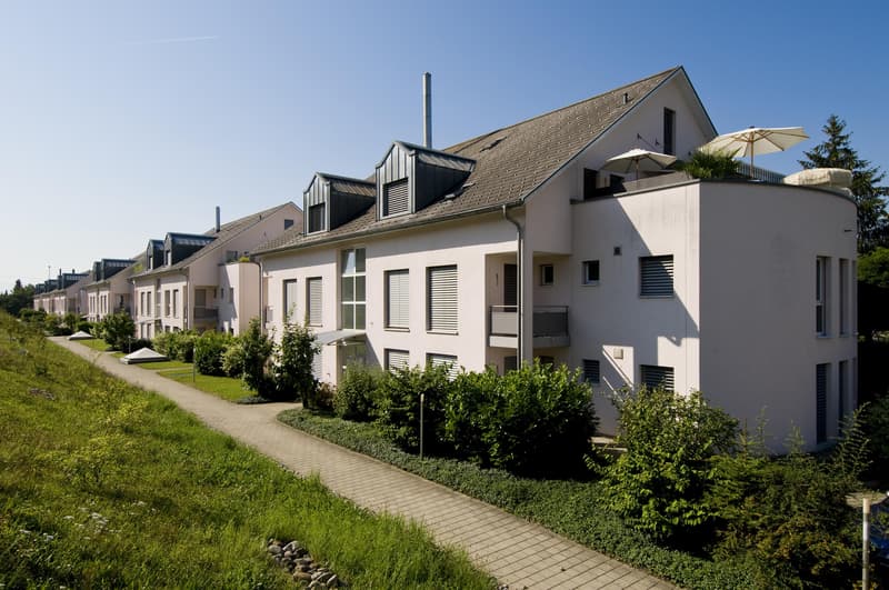Charmante 2.5-Zimmerwohnung im 1. OG (1)