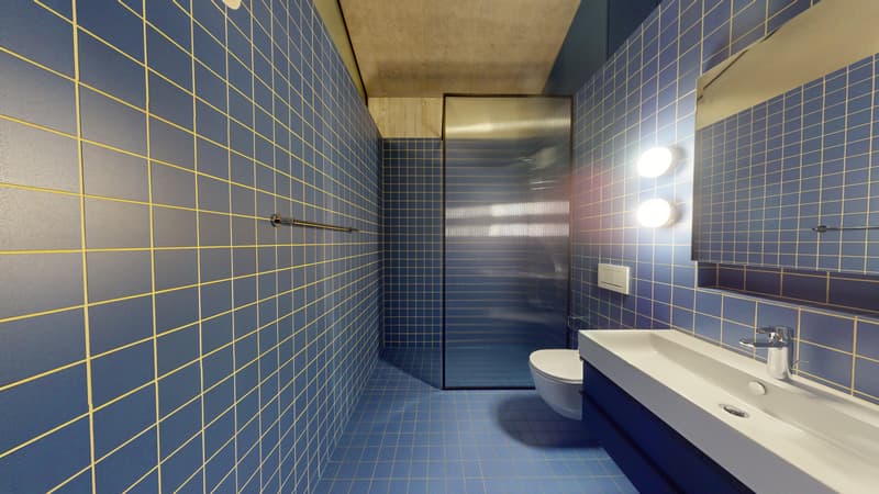 Wohnen der besonderen Art in Glattfelden - 1.5 Zimmer-Wohnstudio (6)
