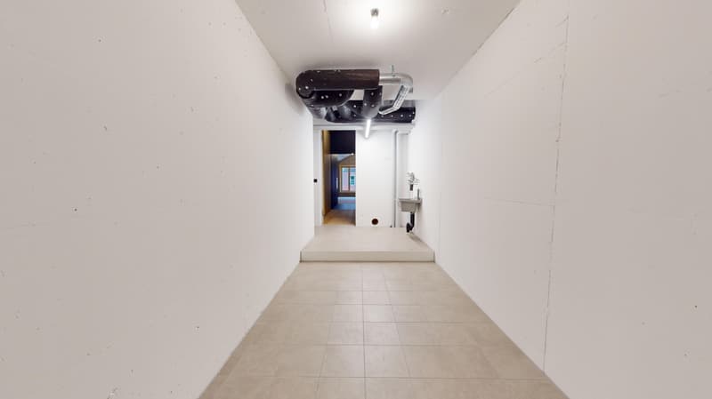 Wohnen der besonderen Art in Glattfelden - 1.5 Zimmer-Wohnstudio (11)