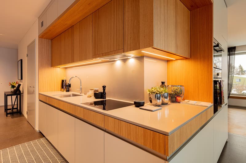 Compact and stylish 3.5 room apartment on the 1st floor (5)
