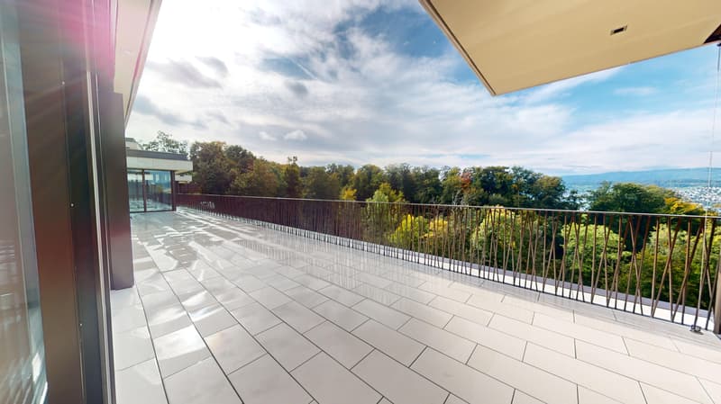 Terrasse spacieuse pour une vue lacustre imprenable - appartement 4,5 pièces, attique (3)