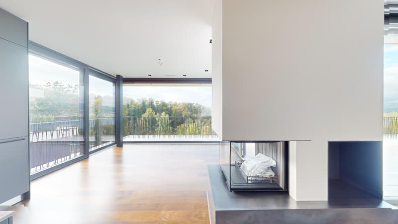 Terrasse spacieuse pour une vue lacustre imprenable - appartement 4,5 pièces, attique (4)