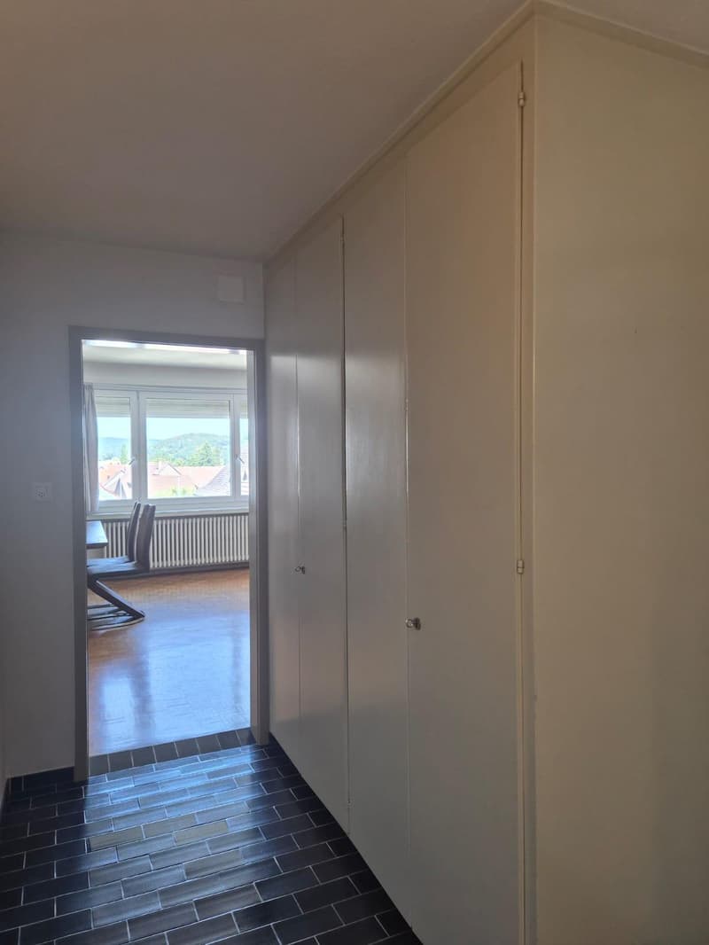 Appartement 1.5 pièces abordable à Neerach (4)