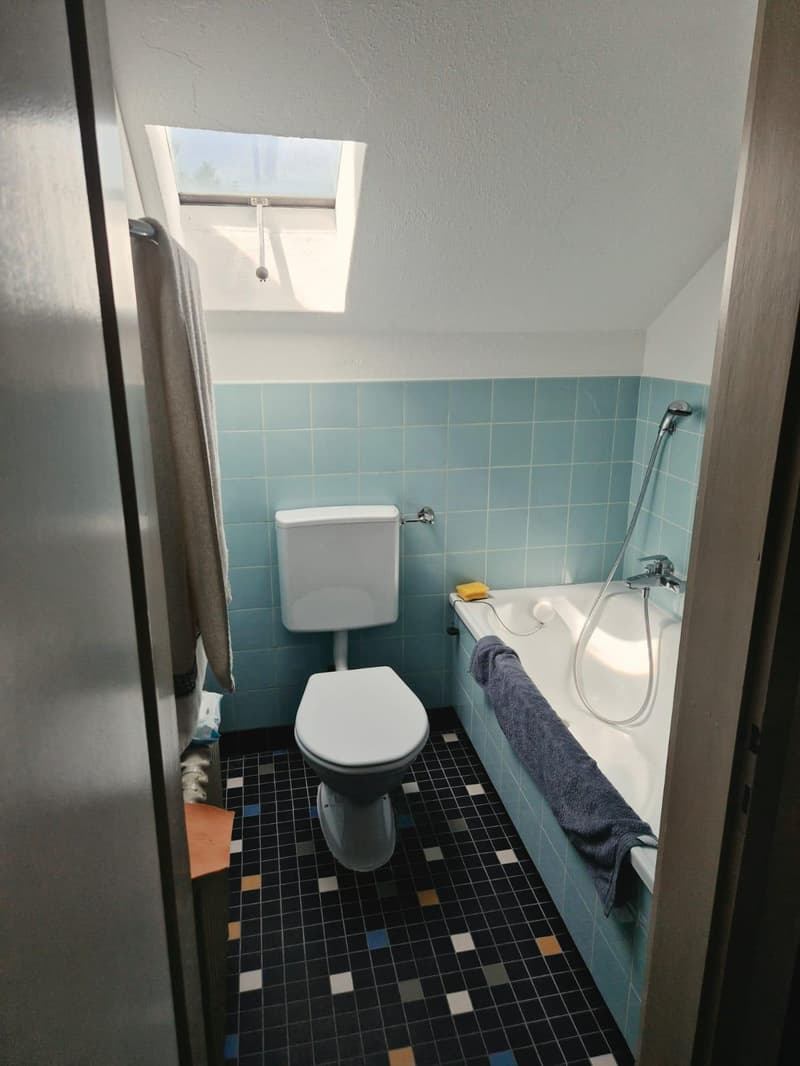 Appartement 1.5 pièces abordable à Neerach (5)
