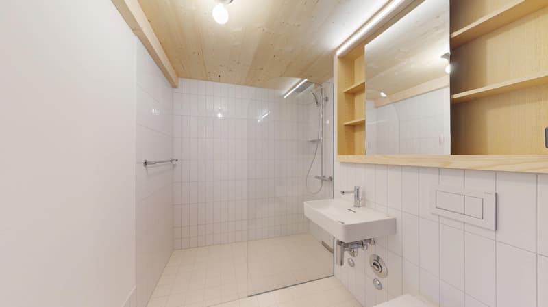 Unique living in "Kibako" Kloten - 1.5 Studio (5)