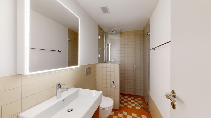 Spaziosa maisonetta 4,5 locali a Embrach (5)