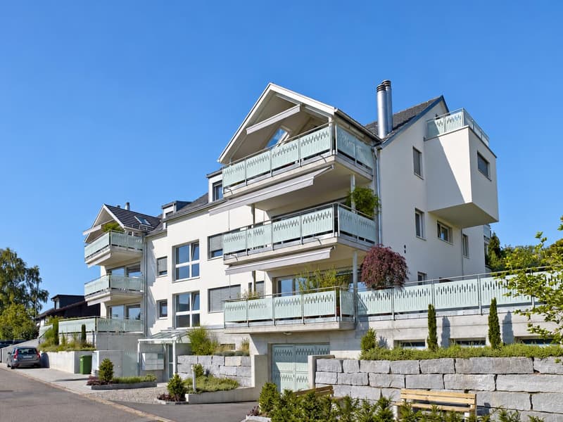 Hochwertiges Wohnen mit Blick ins Neeracher Ried (1)