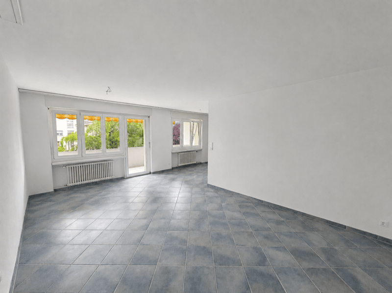 Appartamento di 4,5 locali in una zona residenziale popolare (2)