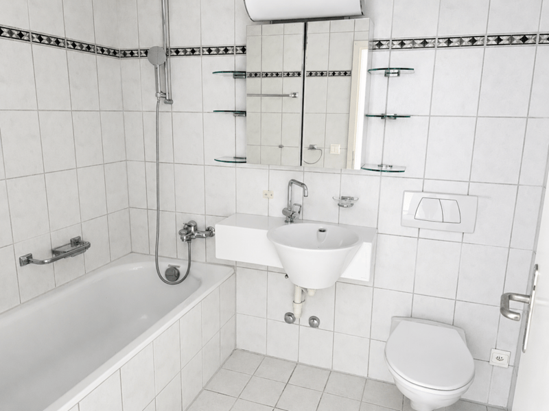 Appartamento di 4,5 locali in una zona residenziale popolare (5)