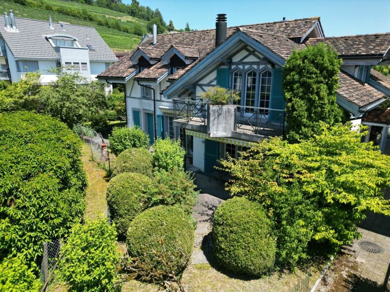 Grosszügige Wohnoase an begehrter Lage (1)