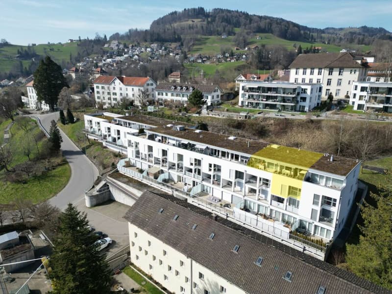 6.5-Zimmer-Attika-Maisonettewohnung (1)