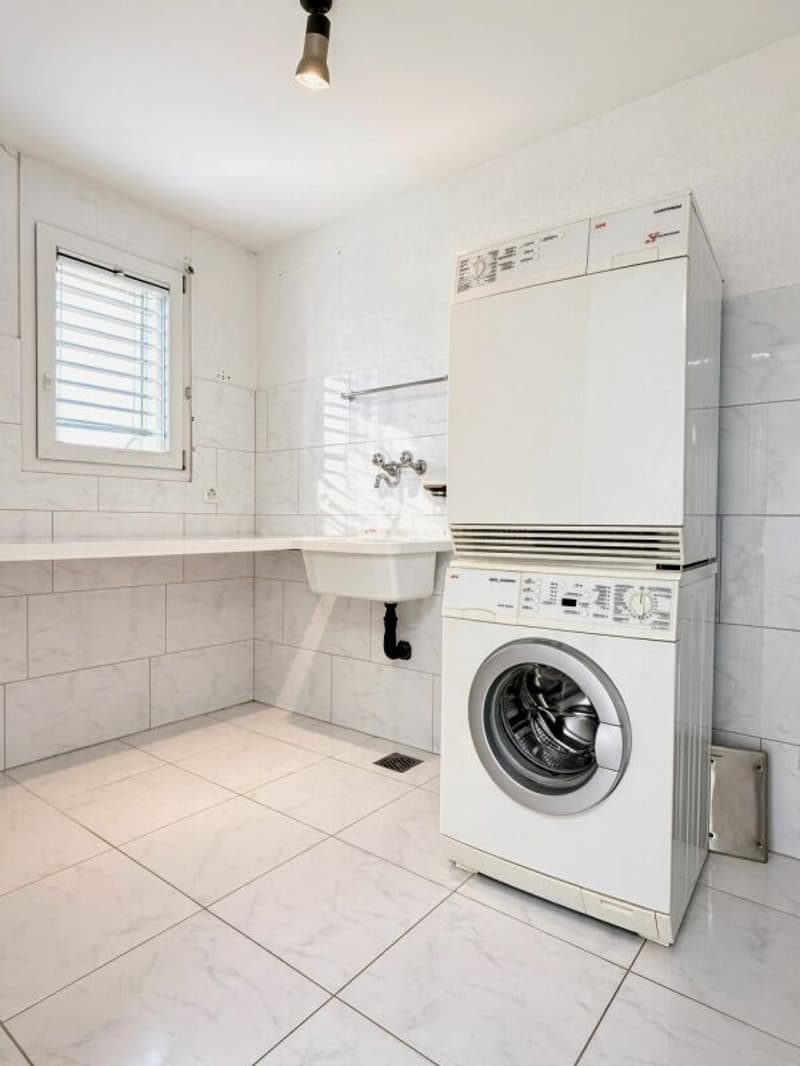 Exklusive 5.5-Zimmer-Attikawohnung mit Wintergarten und Sauna in Seenähe (11)