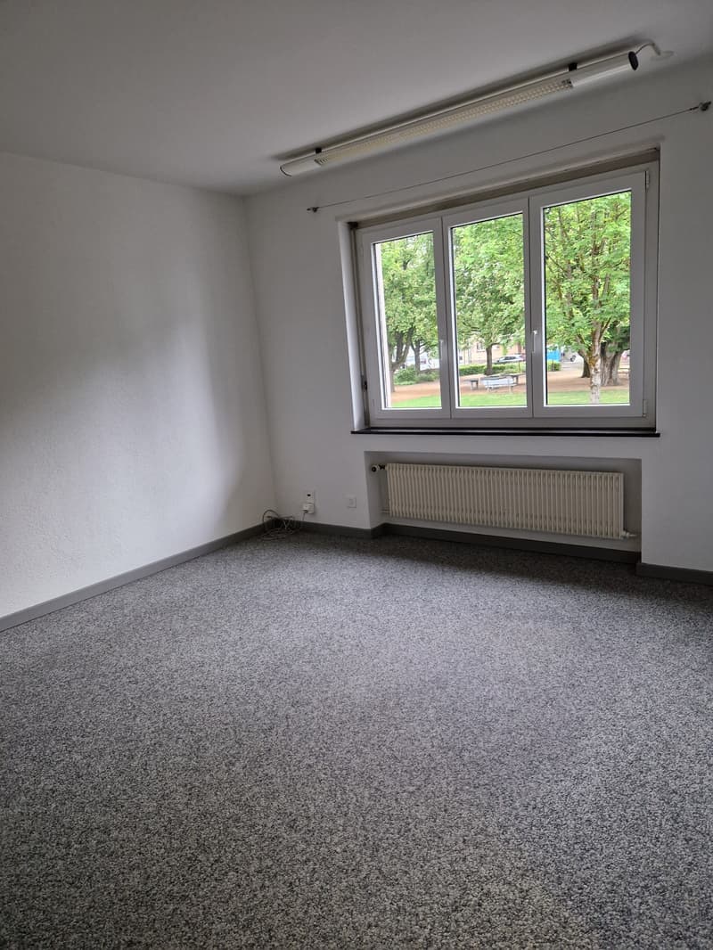 This image shows an empty room with a large window overlooking a green outdoor area. The room has white walls and a gray carpeted floor. There is a radiator installed along one of the walls.