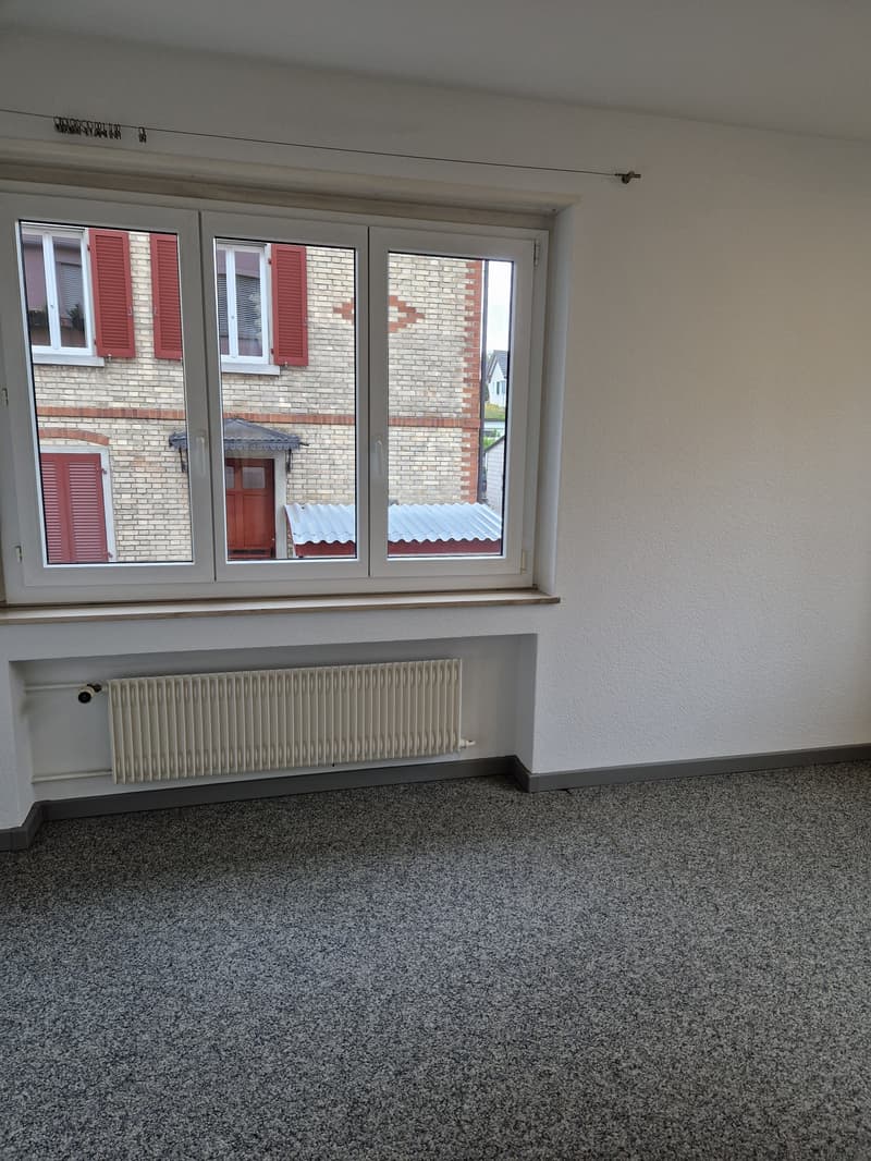 The image shows an empty room with white walls, a large window with red shutters, and a radiator along the wall. The floor is covered in a gray speckled carpet.