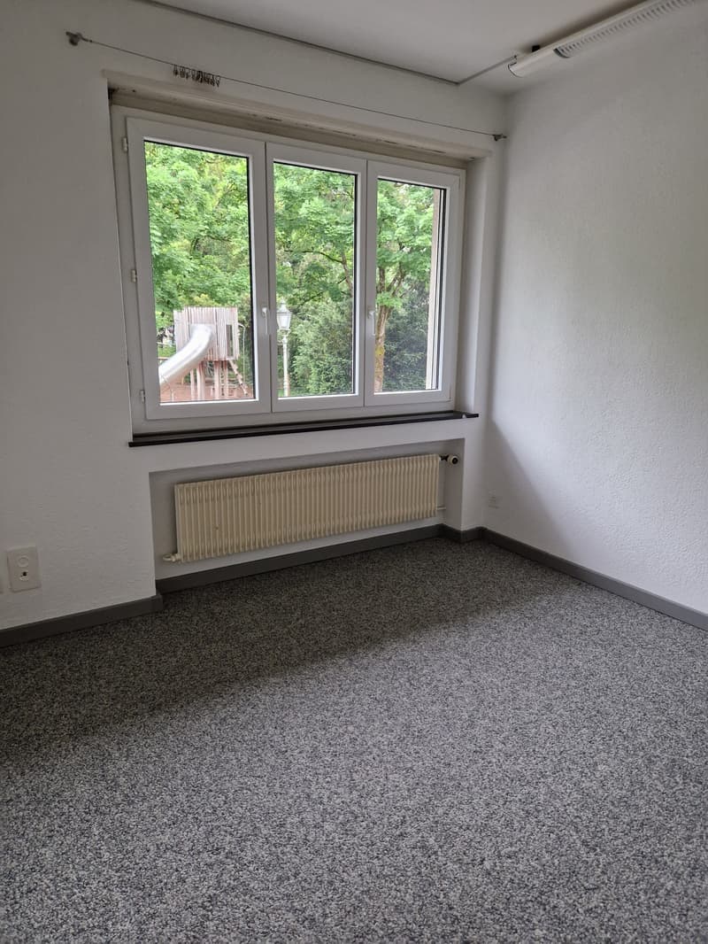 This image shows a room with large windows overlooking a wooded area. The room has white walls and a gray carpeted floor. There is a radiator installed along the wall below the windows.