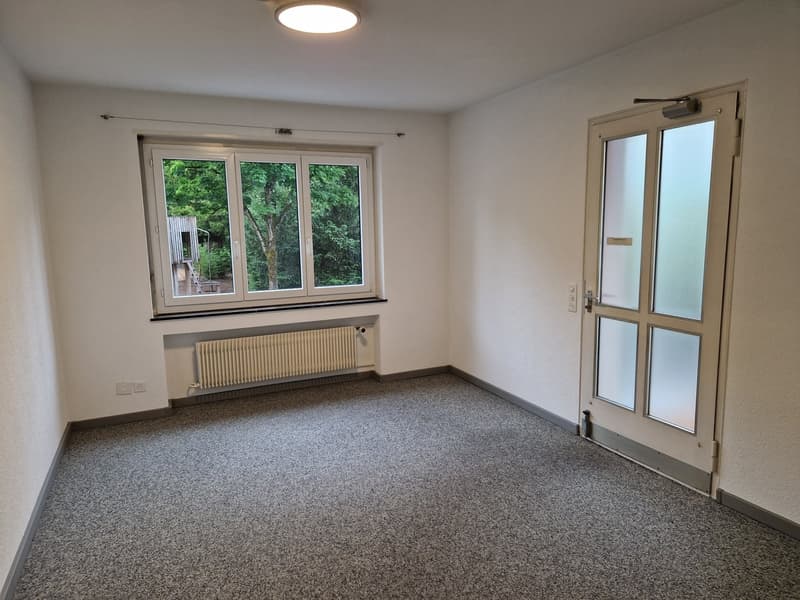 This image shows a spacious room with large windows overlooking a wooded area. The room has white walls, a gray carpeted floor, and a radiator heater. There is a glass door leading to another room or area. The room appears to be empty and ready for furnis