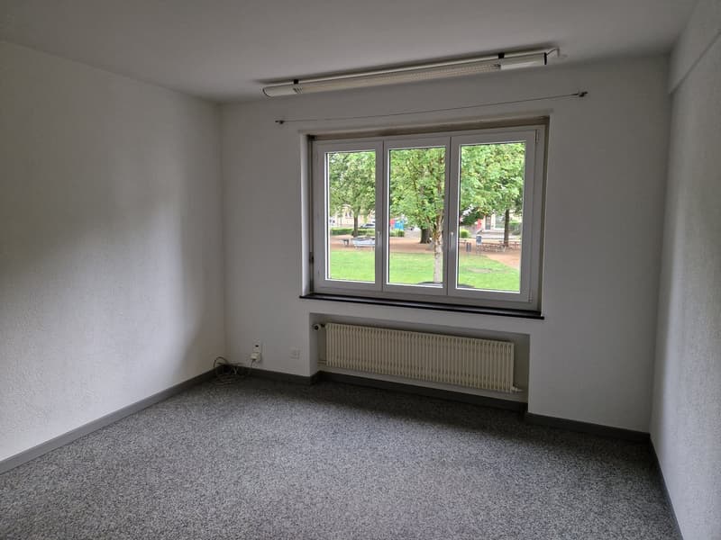 This image shows an empty room with a large window overlooking a grassy outdoor area with trees. The room has white walls, a gray carpeted floor, and a radiator along the wall. There is a ceiling-mounted light fixture in the room.