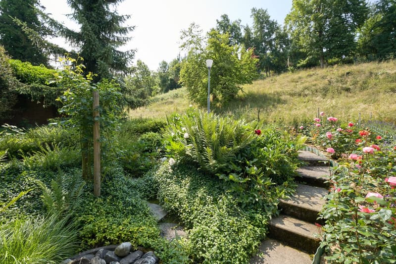 Lush, well-maintained garden with a variety of plants, including ferns, flowers, and shrubs. There is a stone pathway leading through the garden, and a lamp post is visible. The garden is surrounded by trees, creating a serene and natural environment.