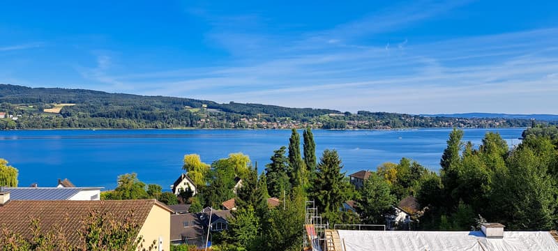 Aerial view of a lake, houses, trees, mountains, clear sky