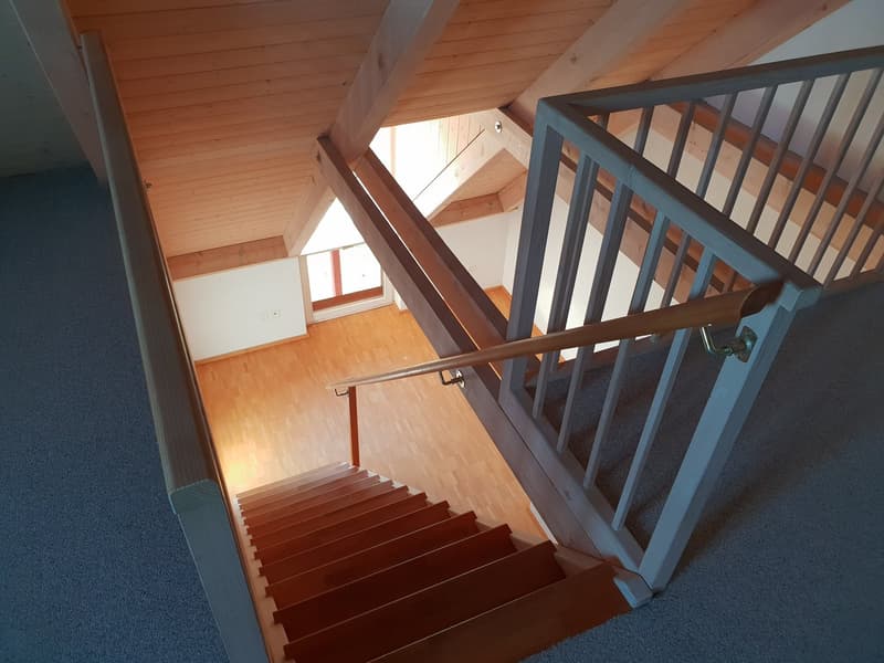 wooden staircase, wooden handrail, wooden steps, wooden ceiling, wooden floor
