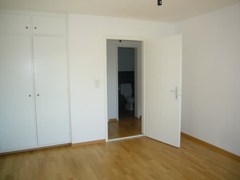 Appartement confortable en centre-ville (7)