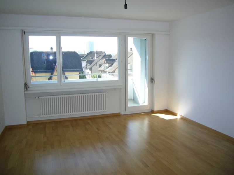 Appartement confortable en centre-ville (4)