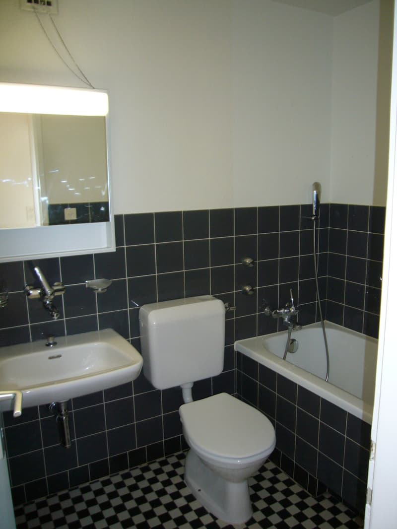 Appartement confortable en centre-ville (3)