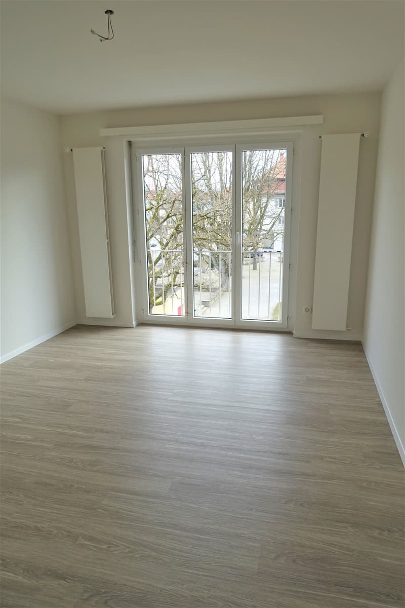 Appartamento di 2,5 locali situato in centro a Winterthur (9)