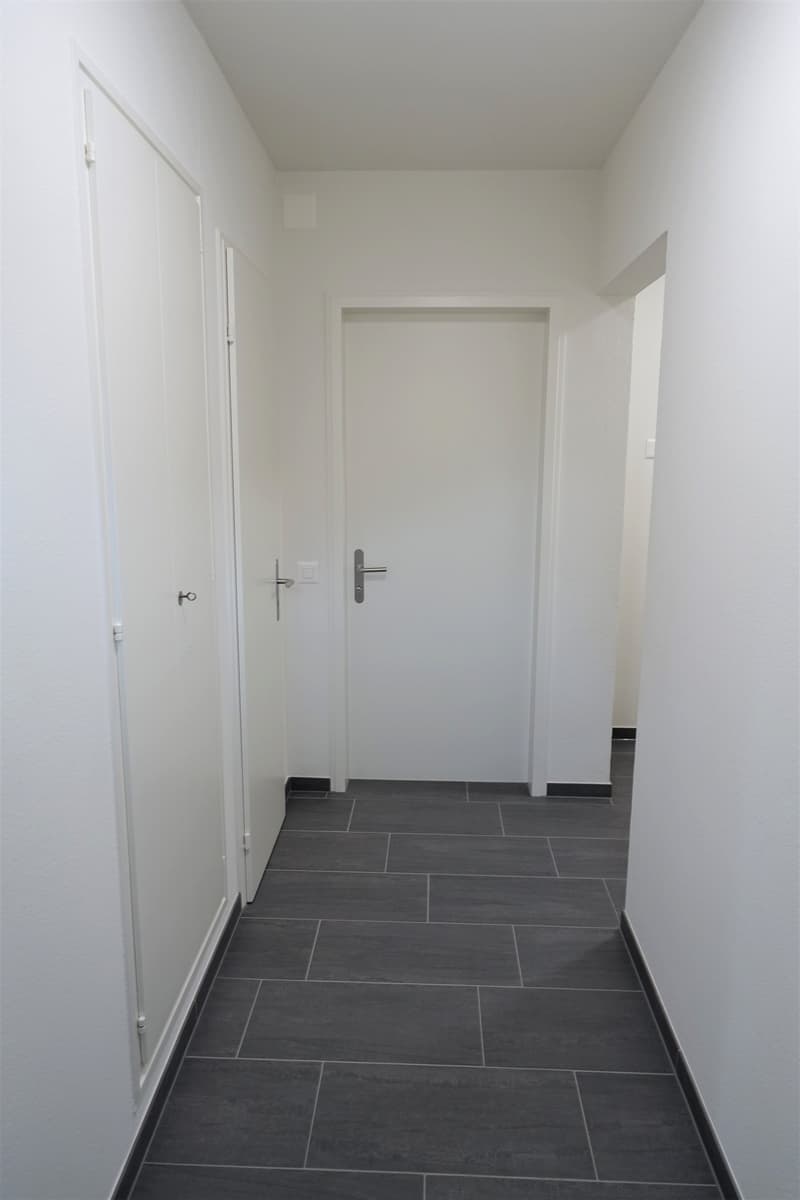 Appartamento di 2,5 locali situato in centro a Winterthur (4)