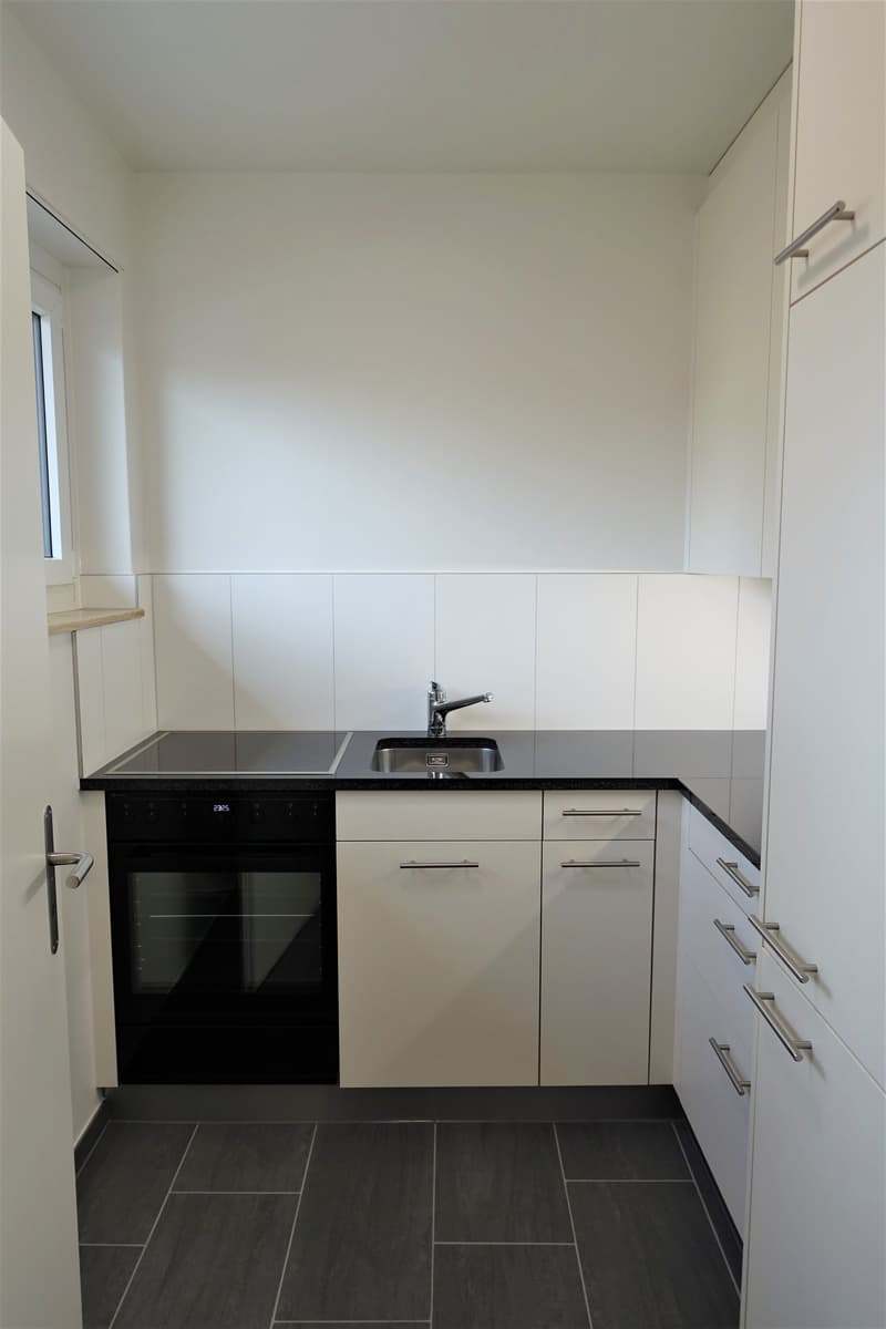 Appartamento di 2,5 locali situato in centro a Winterthur (3)