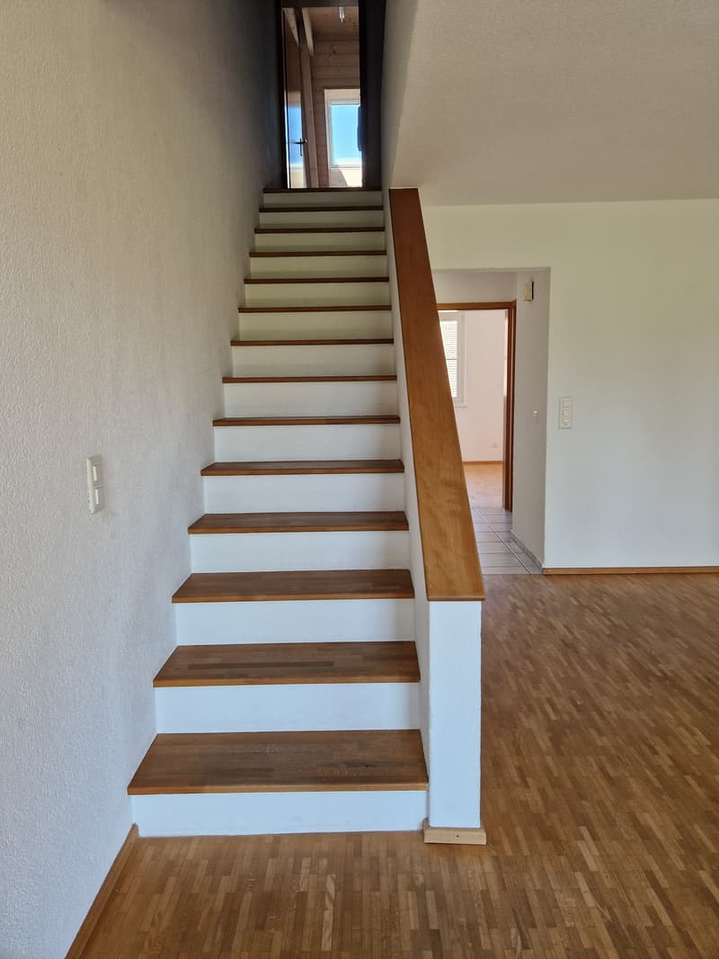 Volltreffer !! (27)