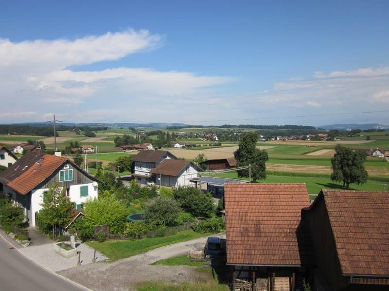 Volltreffer !! (4)
