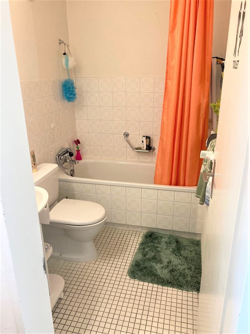 Limited until 31.03.2027 - Quiet and centrally located apartment (4)