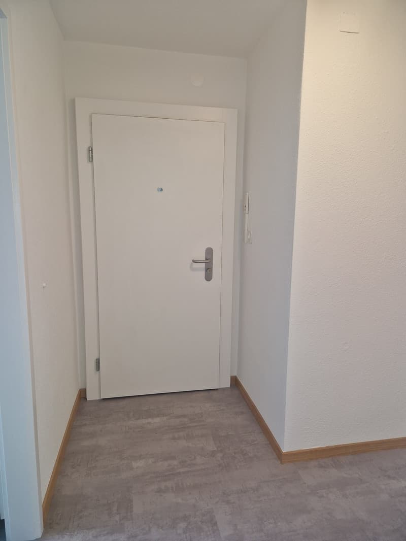 2-room apartment in a conveniently located area (11)