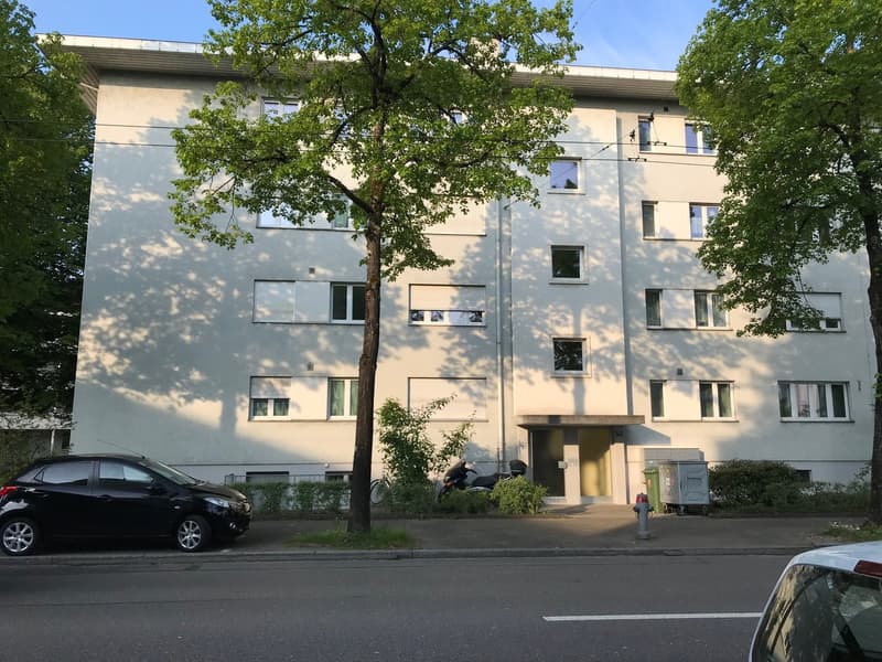 Apartment in central environment (1)