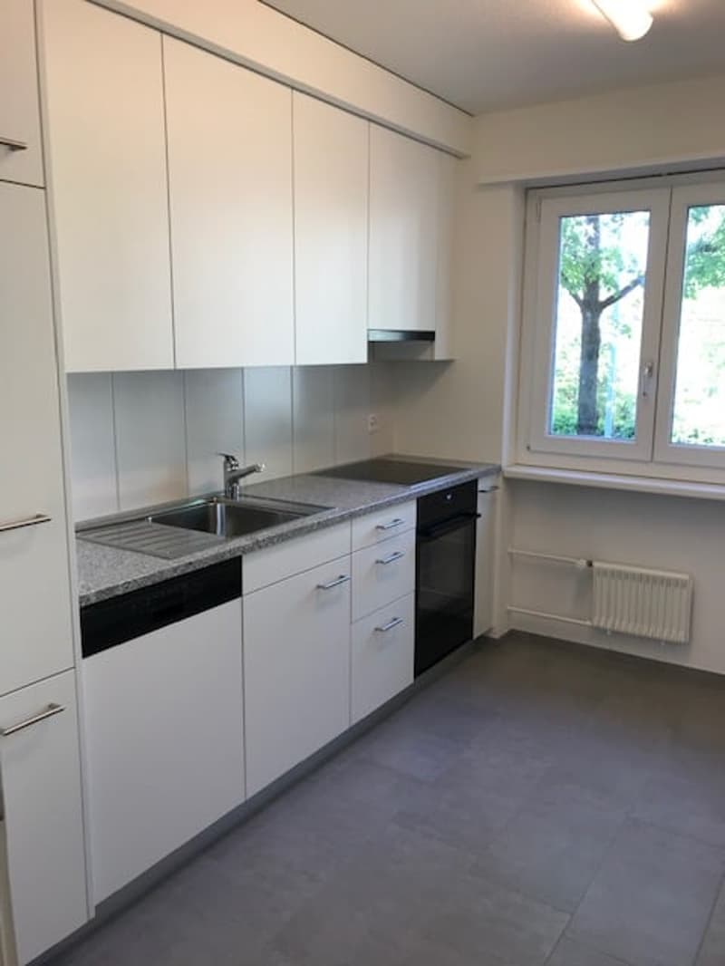 Apartment in central environment (2)
