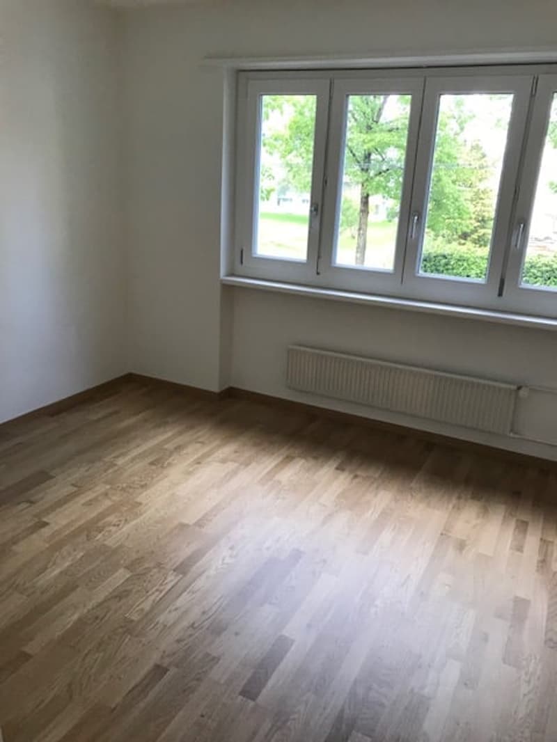 Apartment in central environment (5)