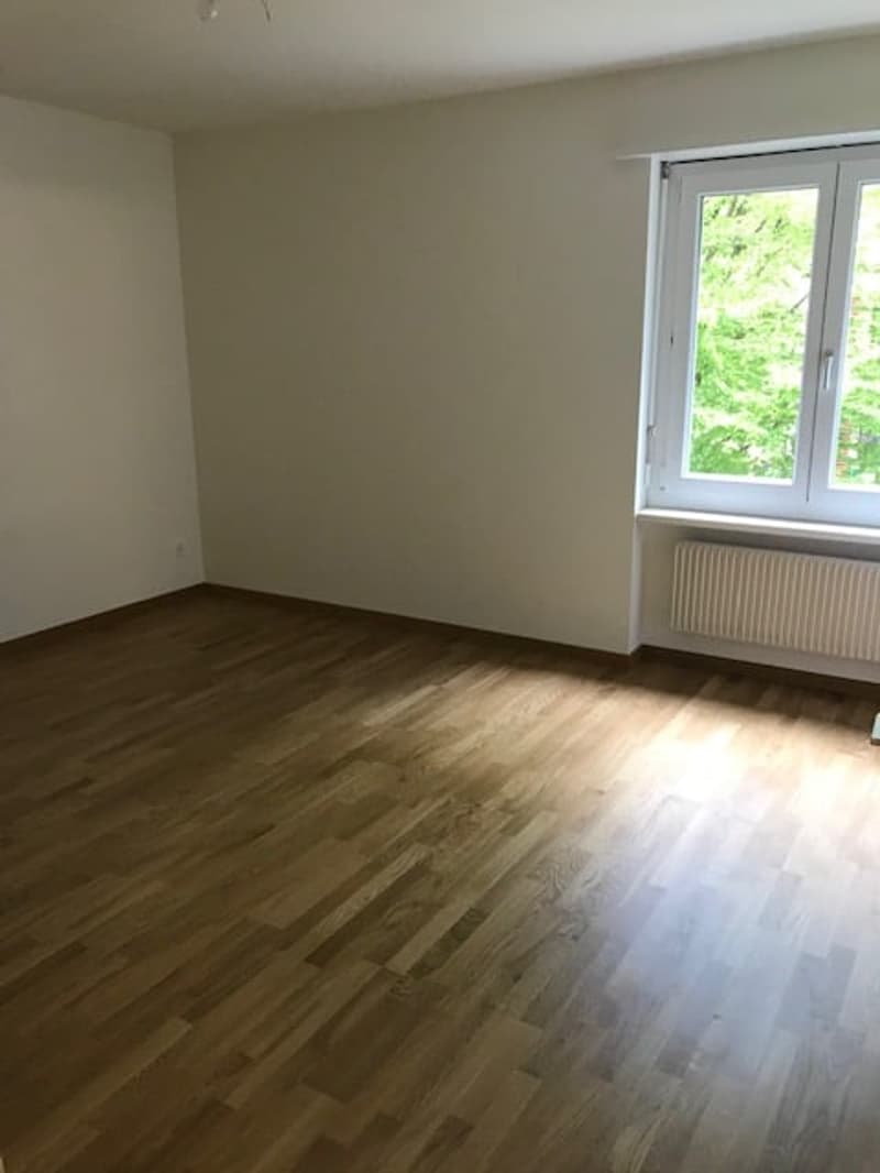 Apartment in central environment (6)