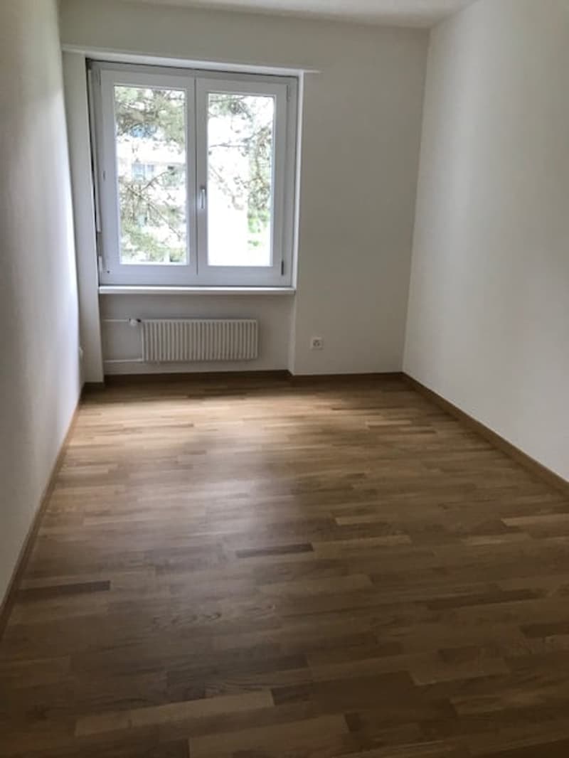 Apartment in central environment (7)