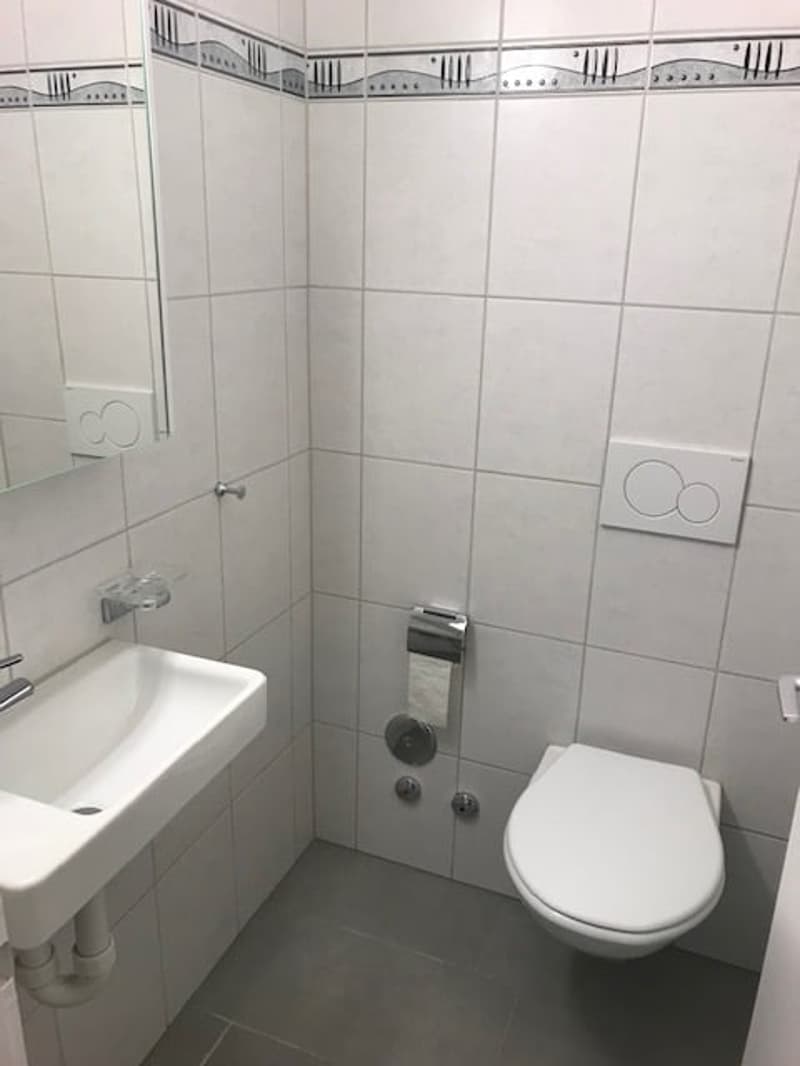 Apartment in central environment (4)
