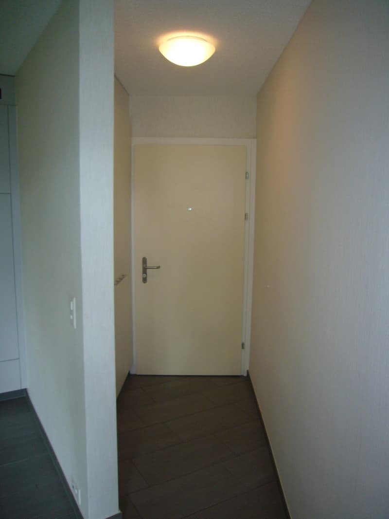 Appartamento ideale per single (5)