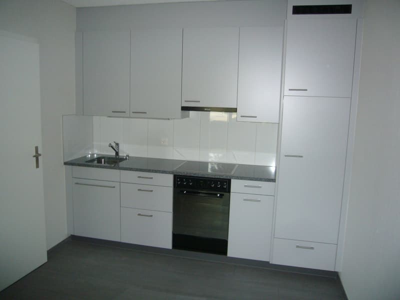 Appartamento ideale per single (2)