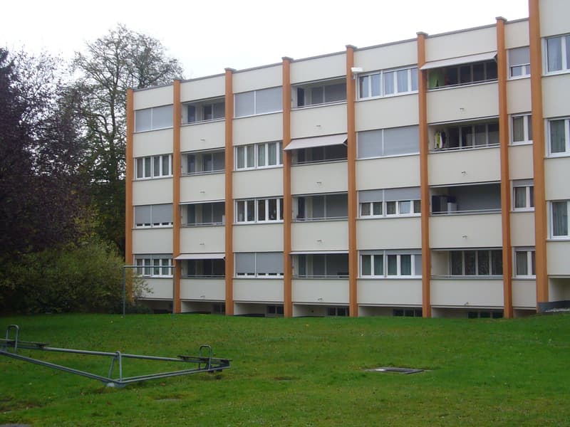 Zentrales wohnen in Brüttisellen (1)